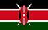 TGM Panel Verdien geld in Kenia